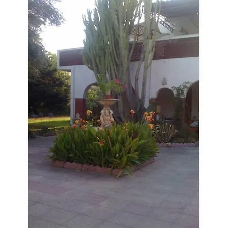 Casa Ulivi Apartamento Joppolo