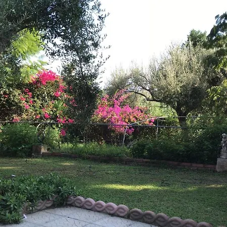Casa Ulivi *