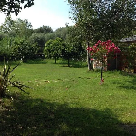 Casa Ulivi * Joppolo